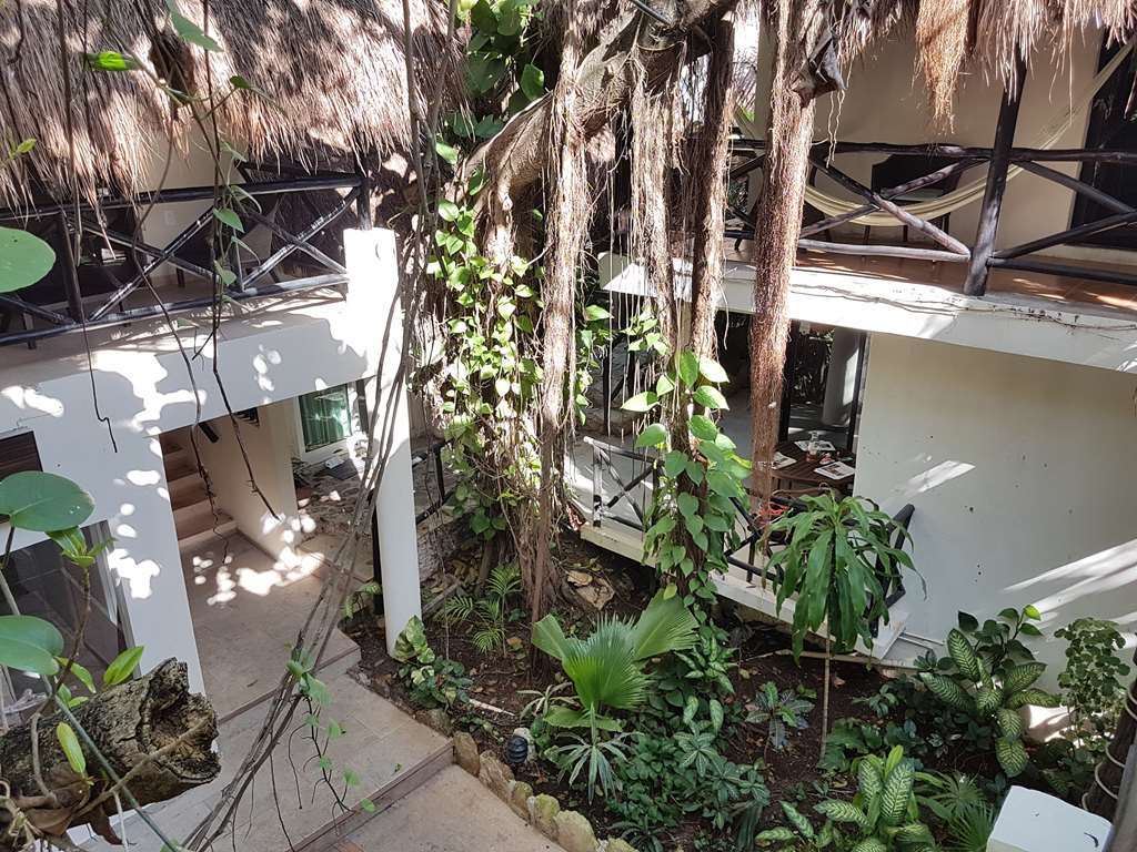 Hotel Club Yebo Playa del Carmen Servis gambar