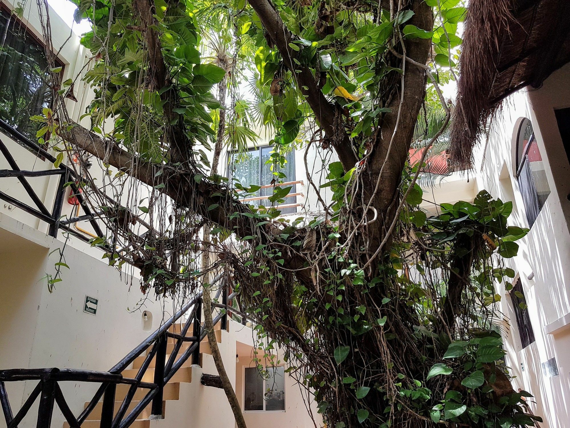 Hotel Club Yebo Playa del Carmen Luaran gambar